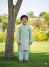 Pista green Kurta with tree patch size 24