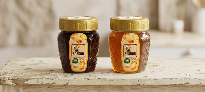 Shebee's Salajeet Infused Honey(250g)