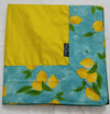 Parachute Safras with imported Panels