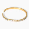 Classic Crystal Stainless Steel Hinged Bangle