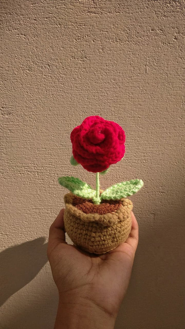 Crochet - Rose Pot
