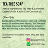 Clarifying Tea Tree Face Wash Bar ☘️