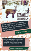 KASTURI attar 3ml