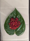 Pan Masala (with paan strips) - 160g/1 box