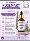 Root Revival Serum