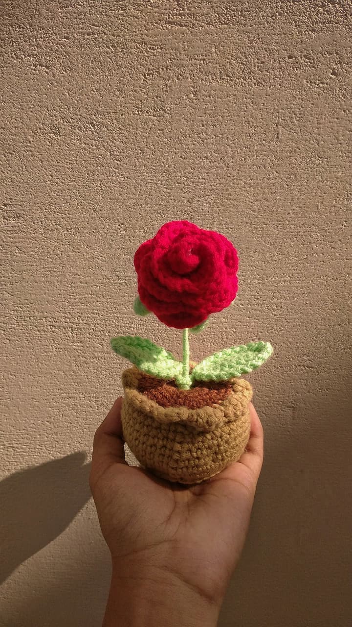 Crochet - Rose Pot